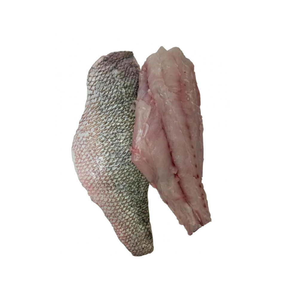 Filete de pescado - Pargo (1 kg / 2.2 lb)